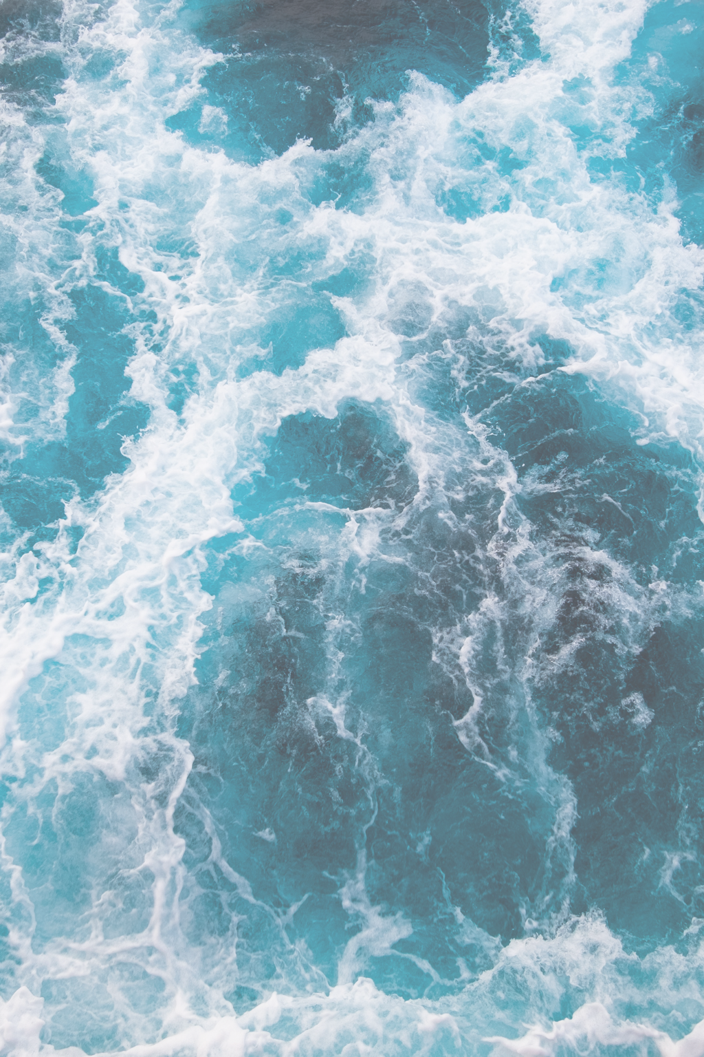 Health & Wellness cinematic trailer style